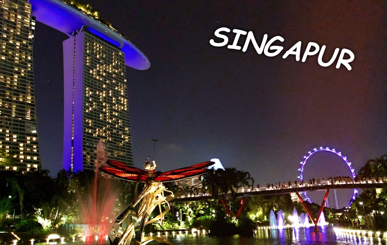 Singapur - město plné imponzantních světel, centrum projdete za pouhý den