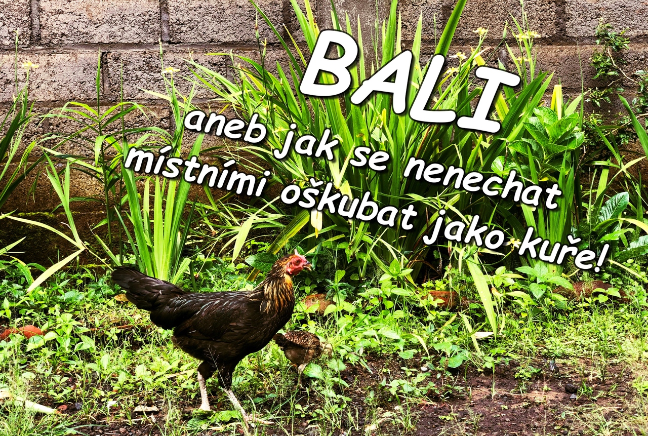 Bali - aneb jak se nenechat místními oškubat jako kuře!