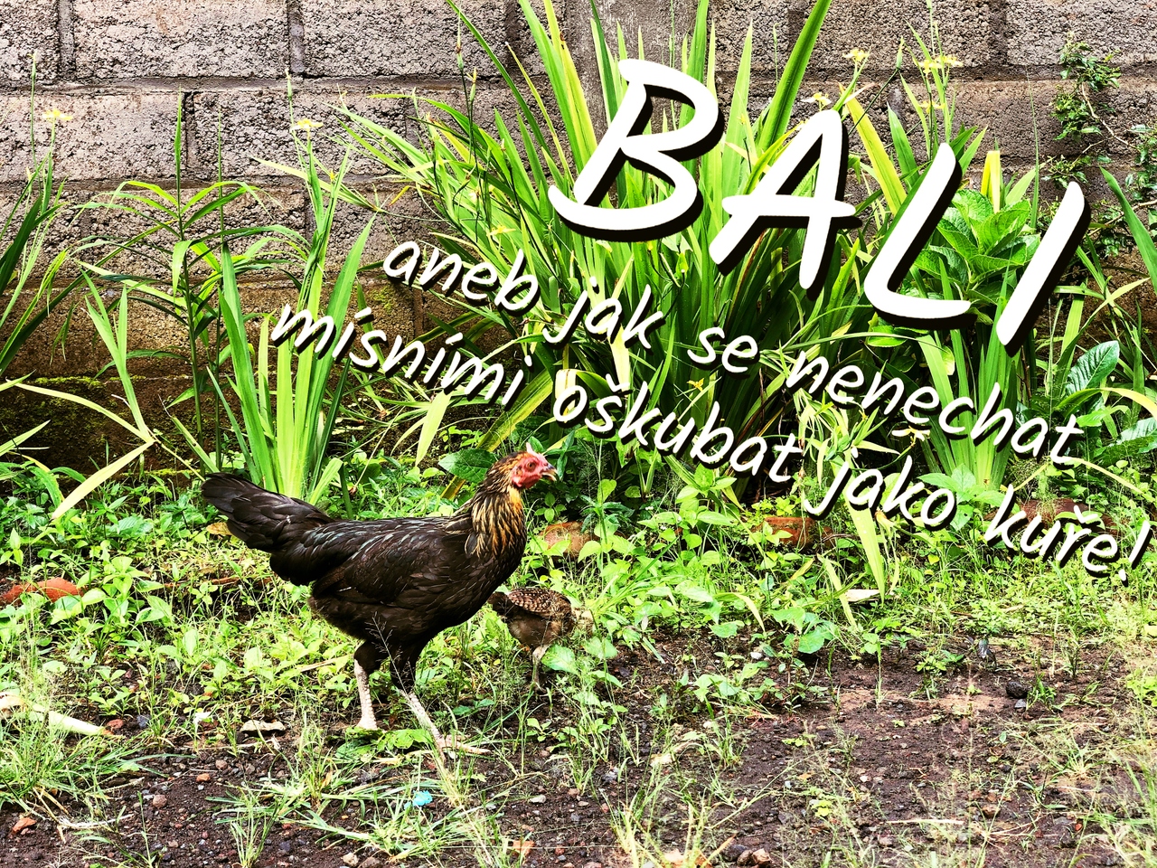 Bali - aneb jak se nenechat místními oškubat jako kuře!